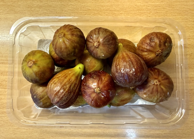 Feigen1